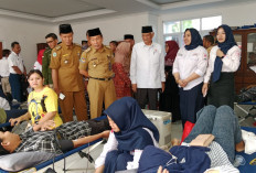 PMI Aksi Donor Darah dan Bagikan Sembako, Sejumlah Ini Stok Darah di PMI Provinsi Bengkulu