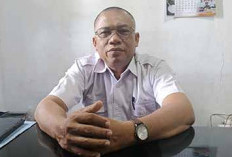 Seribu Hektare Lahan di Enggano Bakal Disulap Jadi Kebun Kelapa Unggul Lokal