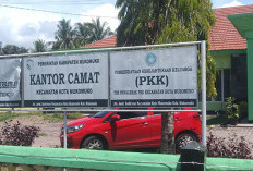 Tanam Ganja di Kantor Camat, 1 Pelaku Diamankan 