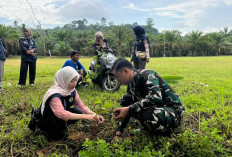 Kodim 0425/Seluma Hijaukan Desa Lewat Penanaman Pohon