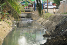 Wali Kota Bengkulu Kebut Perbaikan Drainase Pemukiman, Ini Dia Targetnya 