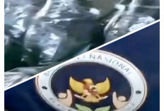  Viral Motor Listrik MBG, Kepala BGN : Isu 70.000 Unit Ternyata Hoaks, Ini Jumlah Sebenarnya 