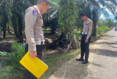 Diduga Lakalantas, Sugiono   Ditemukan Meninggal Dunia