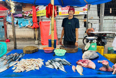 Harga Ikan Naik, Tetap Diburu Ibu-ibu, Segini Sekarang