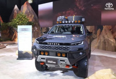 Toyota Hilux Terbaru, Modifikasi Menarik untuk Pecinta Off-Road