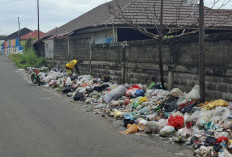 TPS Liar Dekat SMKN 7 Bengkulu, Sudah 3 Bulan Belum Ditangani Ini Keluhan Warga