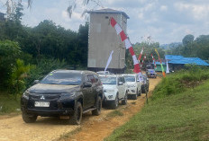 Pajero Libas Medan Ringan hingga Berat di Kalimantan