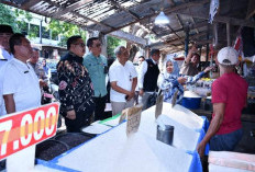 Pj Wali Kota Sidak Pasar Panorama, Memastikan Harga Sembako di Bengkulu Masih Stabil 