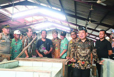 Dedy Sikat Mafia Lapak PKL di Kota Bengkulu