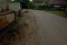 Diduga Pasal ''ngegas'' Motor, Seorang ASN di Seluma Ditikam dengan Obeng, Alami Luka Tikam 7 Lubang
