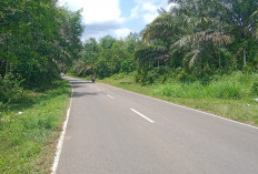 Aksi Begal Kembali Beraksi di Kota Bengkulu, Pelaku Embat Motor Milik Anak Bawa Umur, Begini Kejadiannya