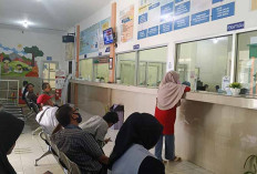 Pemutihan Pajak Segera Berakhir, BKD Benteng Ajak Masyarakat Manfaatkan Waktu Tersisa 