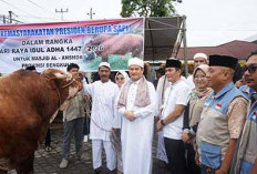 Hewan Kurban Presiden Dibagi Merata