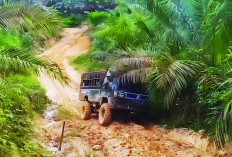 Petani Minta Pembangunan Jalan Kebun, Ini Keterangan Asosiasi Petani Kelapa Sawit di Bengkulu