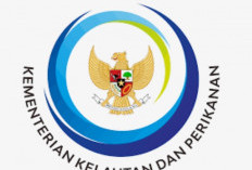 KKP Gelar Rekrutmen Besar-Besaran, Tersedia 3000 Kuota, Cek Jadwal dan Penempatannya 