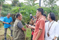 555 Hektar Sawah Beralih Fungsi, Ini Upaya Dilakukan Dinas Pertanian Kepahiang