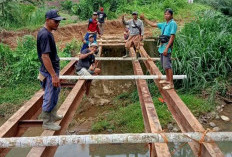 Jembatan Mertam Tak Kunjung Diperbaiki,  Petani Patungan Jutaan Rupiah