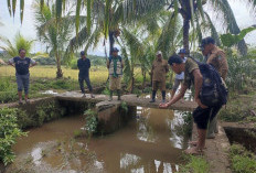 20 Hektar Sawah Siap   Panen Terendam Banjir, Terancam Gagal Panen