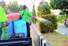 Percantik Median Jalan   DLH Siapkan Dana Hingga Rp 147 Juta 