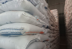  Penyerapan Gabah Petani di BU   Dioper ke Gudang Bulog Lain, Ini Penyebabnya