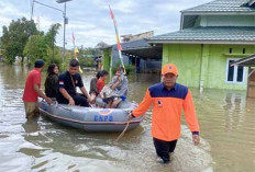 Banjir Dampak Kejahatan Lingkungan: Tuntut Pemerintah Tindak Tegas Korporasi Perusak Hutan