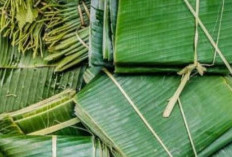 Daun Pisang, Ini Manfaatnya Bagi Kesehatan