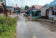 Jalan Lintas Palak Siring Memprihatinkan, Begini Kondisinya