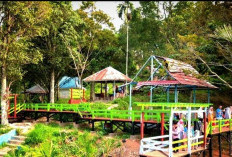  Pengelola Wisata Pulau Harapan  di Lebong Tidak Setor PAD , Segini Jumlahnya