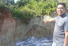  Tanggul Abrasi Jebol, Pemukiman   Warga di Bengkulu Utara Terancam
