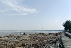 Pantai Pasar Bawah Darurat Sampah, Dispar Lakukan Ini