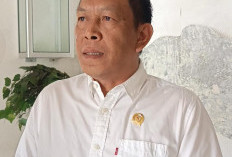 Wacana Pilkada Oleh DPR, Holman: PDI Konsisten Pemilu dari Rakyat