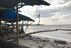 Cuaca Ekstrem, Ombak Pasang Terjadi di Pantai Kota Bengkulu, Waspada!