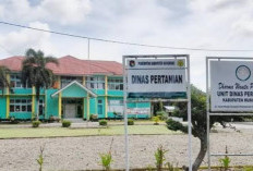  Jalan Pertanian di Mukomuko Banyak Rusak