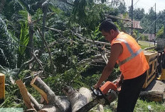 Bengkulu Selatan Waspada Cuaca Ekstrem, BPBD Keluarkan Peringatan Begini