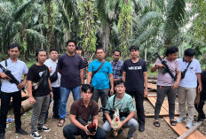 Digrebek Polisi, Judi Sabung Ayam dan Dadu Kocar Kacir
