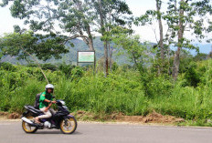  298 Aset Tanah Pemkab   Lebong Belum Bersertifikat, Ini Penyebabnya