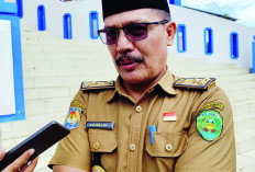 Efisiensi, PPPK Paruh   Waktu Tidak Dilantik