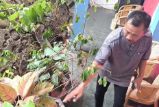 Kantor Parpol Disatroni Maling, Uang Rp 23 Juta Raib
