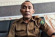 Pemkab Benteng Tak Usulkan Formasi CPNS 2026, BKPSDM Beberkan Alasannya 