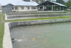  BBI Mukomuko Dorong Ekonomi Rakyat, Begini Caranya