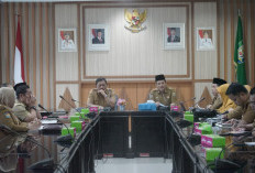 Kawasan Industri Pulau Baai Siap Jadi Pusat Pabrik Biodiesel, Stok CPO Melimpah