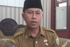 Hari Ini, PPPK Tahap II Pemda Provinsi Bengkulu Terima SK, Gubernur Bengkulu Dijadwalkan Serahkan SK