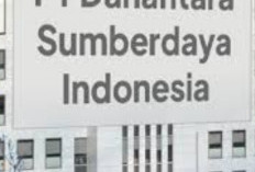 Resmi Jadi BUMN, Siap-siap PT DSI Bakal Buka Lowongan Pegawai Profesional