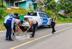 Usai Laka MD, Satlantas Polres Seluma Tambal Jalan Berlubang
