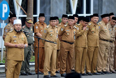 Perampingan OPD di Pemprov Bengkulu Diberlakukan 2027, dari 47 Dilebur jadi 27 OPD 