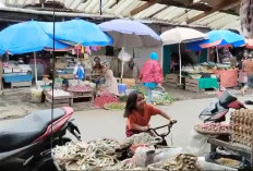  Harga Cabai di Kepahiang   Tembus Rp 80 Ribu/kg