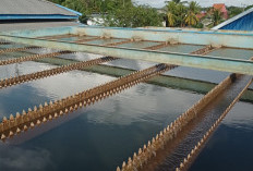 Perbaikan PDAM Tuntas, Air Ledeng Hidup Kembali Ini Penjelasan Kepala IPA Surabaya PDAM Kota Bengkulu