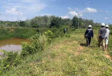 DLH Tantang PT SSL Lepas Ikan   di Kolam Penampungan Terakhir