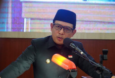 Pohon Kelapa Dicabut Oknum, Wali Kota Bengkulu Doakan Pelaku Dapat Hidayah 