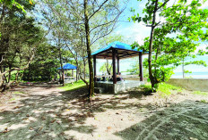 Gazebo Pantai Panjang Gratis, Dispar Kota Bengkulu Tegaskan Tak Boleh Ada Pungutan